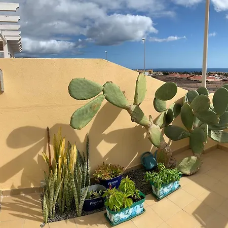 Rosa Caleta De Fuste